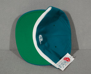 Vintage Dolphins Plain Logo Fitted sz 6 3/4 New w/ Tags
