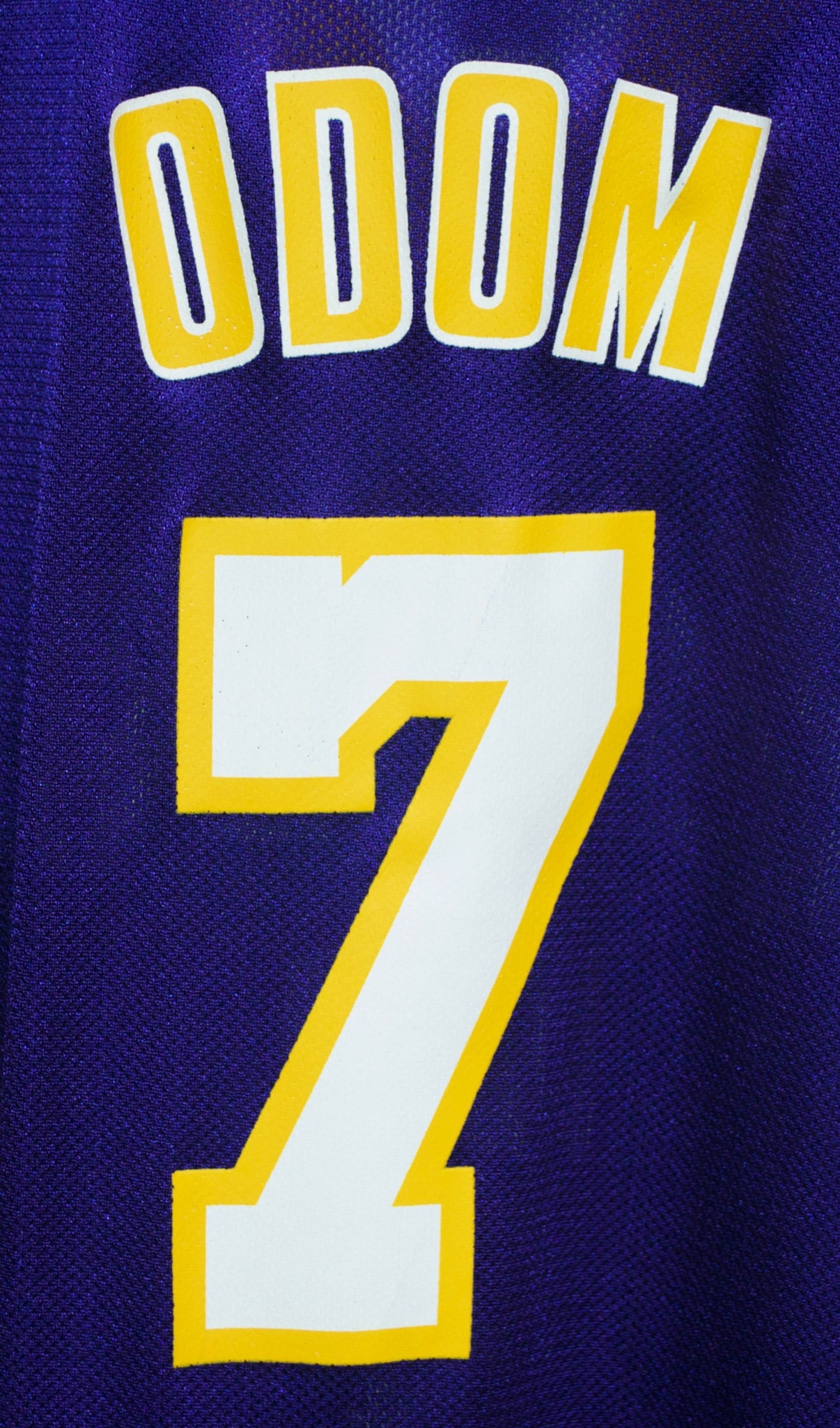 Lamar Odom Lakers Jersey sz M – First Team Vintage